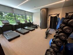 Cuscaden Reserve (D10), Condominium #571786641